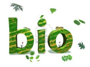 Bio