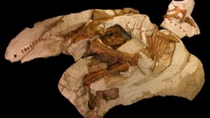 Dinosauro