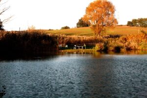 LagO bUFALOTTA 2