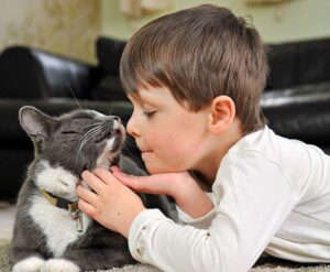 gatto-auto-11-770x634