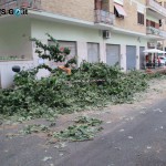 via albona condizioni pietose 02